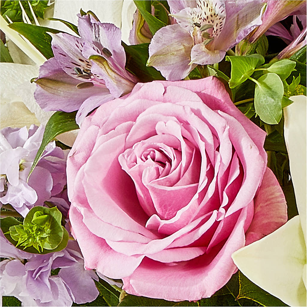 Daydreamer Bouquet –  Maes Flower Shop, Ville Platte LA