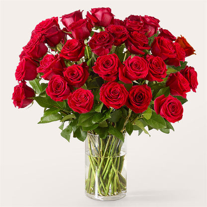 The One Red Rose Bouquet –  Maes Flower Shop, Ville Platte LA