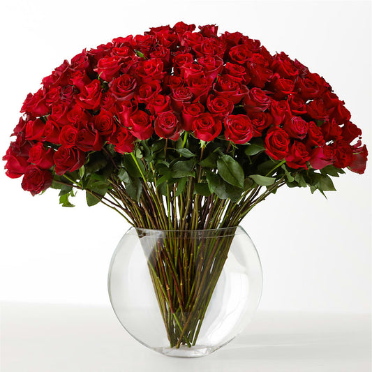 The Idealist –  Maes Flower Shop, Ville Platte LA