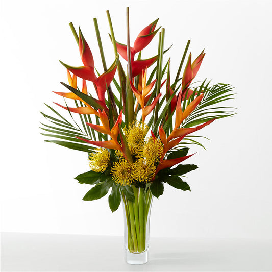 The Drama –  Maes Flower Shop, Ville Platte LA