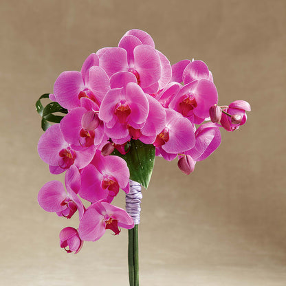 Glorious Bouquet –  Maes Flower Shop, Ville Platte LA