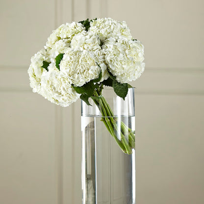White Hydrangea Hand-Tied Bouquet –  Maes Flower Shop, Ville Platte LA