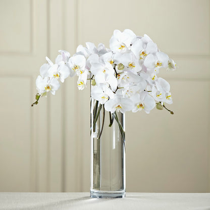 White Phalaenopsis Bouquet –  Maes Flower Shop, Ville Platte LA