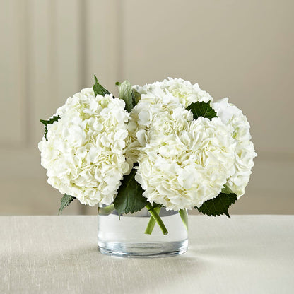 White Hydrangea Bouquet –  Maes Flower Shop, Ville Platte LA