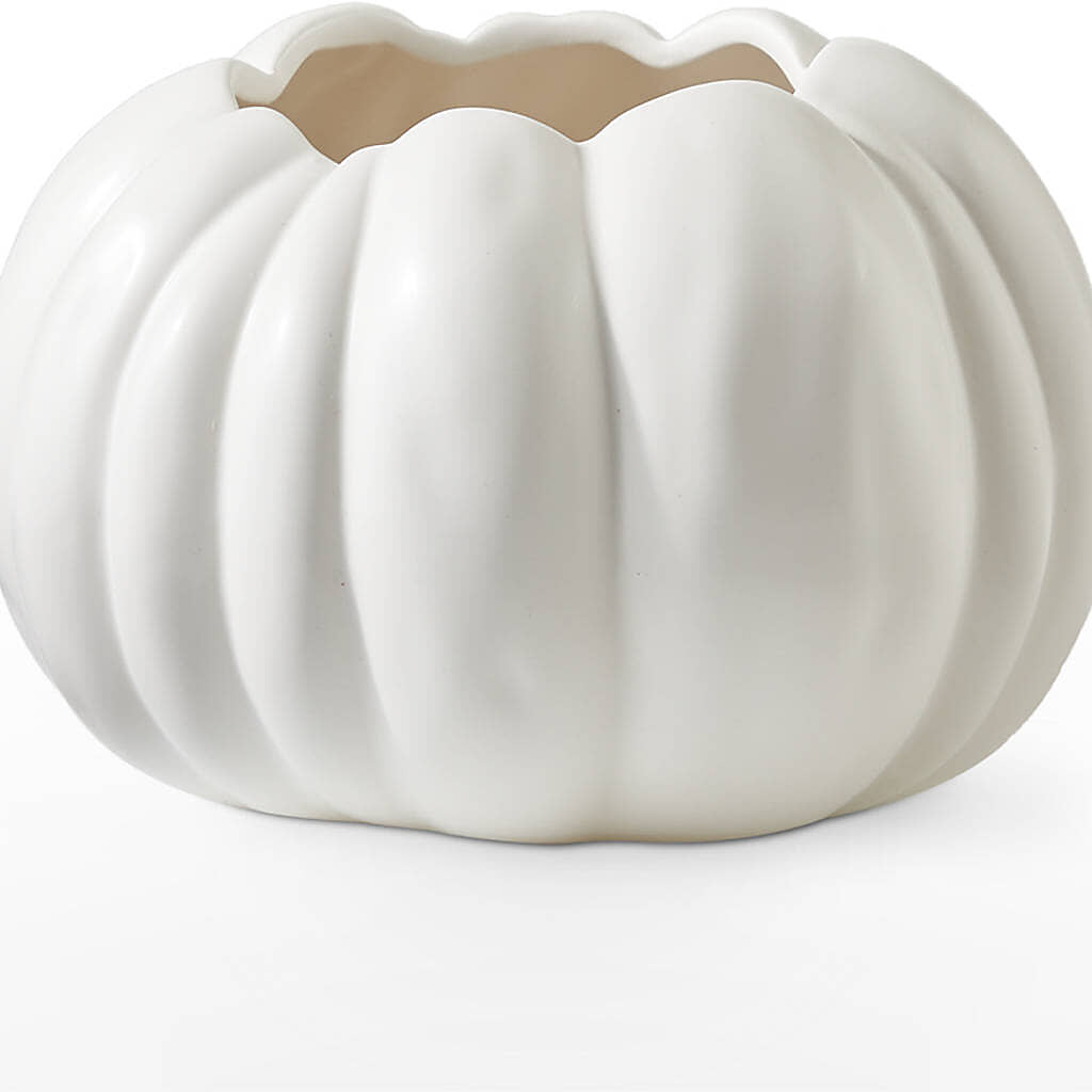 Autumn Air Pumpkin Bouquet –  Maes Flower Shop, Ville Platte LA